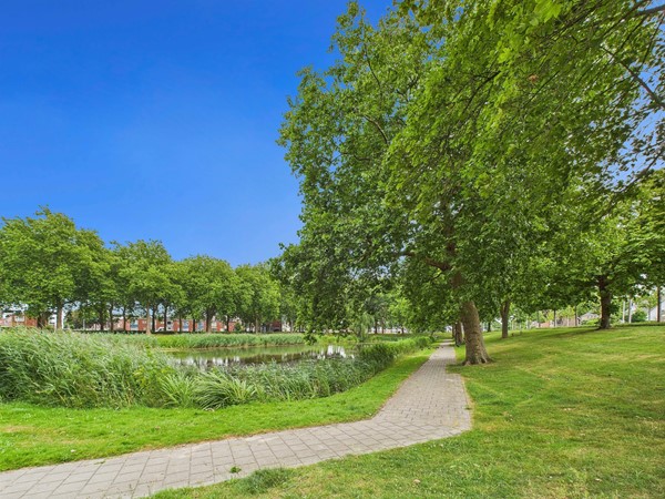 Medium property photo - Alberdingk Thijmstraat 45, 4532 CZ Terneuzen